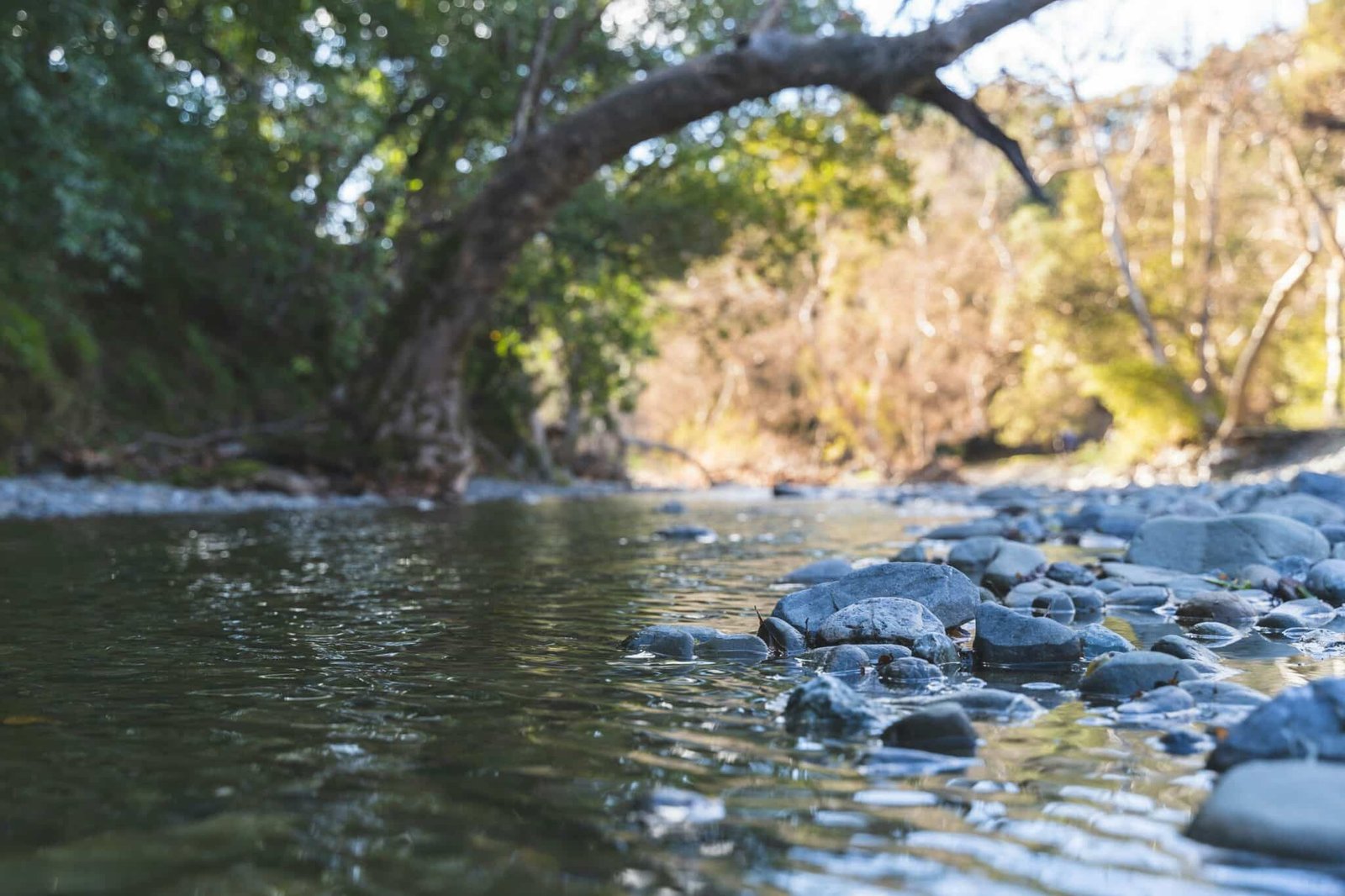 Image showcasing Three Sustainable Off-Grid Water Sources - Tiny Living
