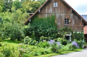 house, farmhouse, old house, old farmhouse, homestead, farm yard, rustic, sunny, window, wood, nature, idyllic, old building, farmhouse, farmhouse, homestead, homestead, homestead, homestead, homestead