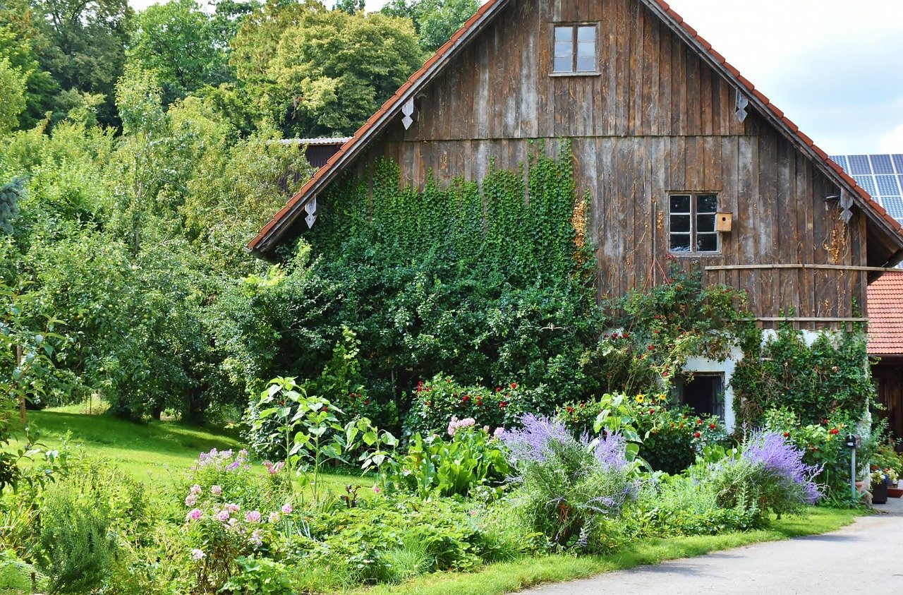 house, farmhouse, old house, old farmhouse, homestead, farm yard, rustic, sunny, window, wood, nature, idyllic, old building, farmhouse, farmhouse, homestead, homestead, homestead, homestead, homestead