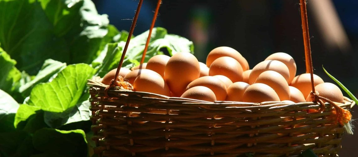 A woven basket filled with brown eggs hanging against a leafy background, bathed in sunlight.
